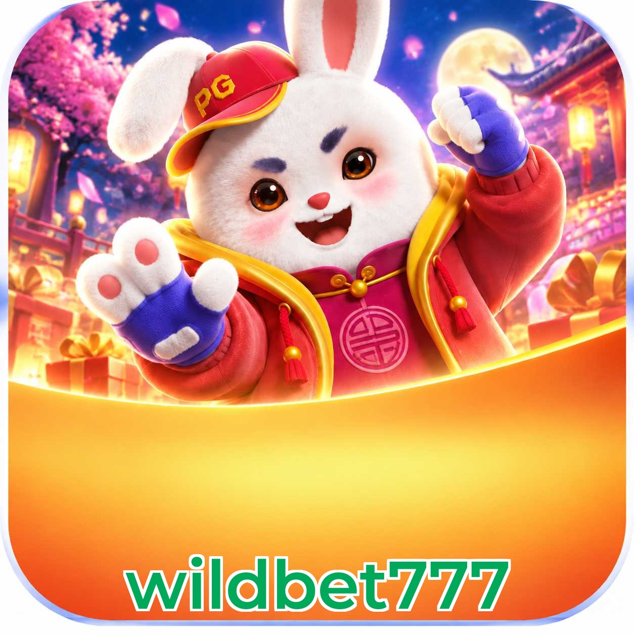 wildbet777 FAQ