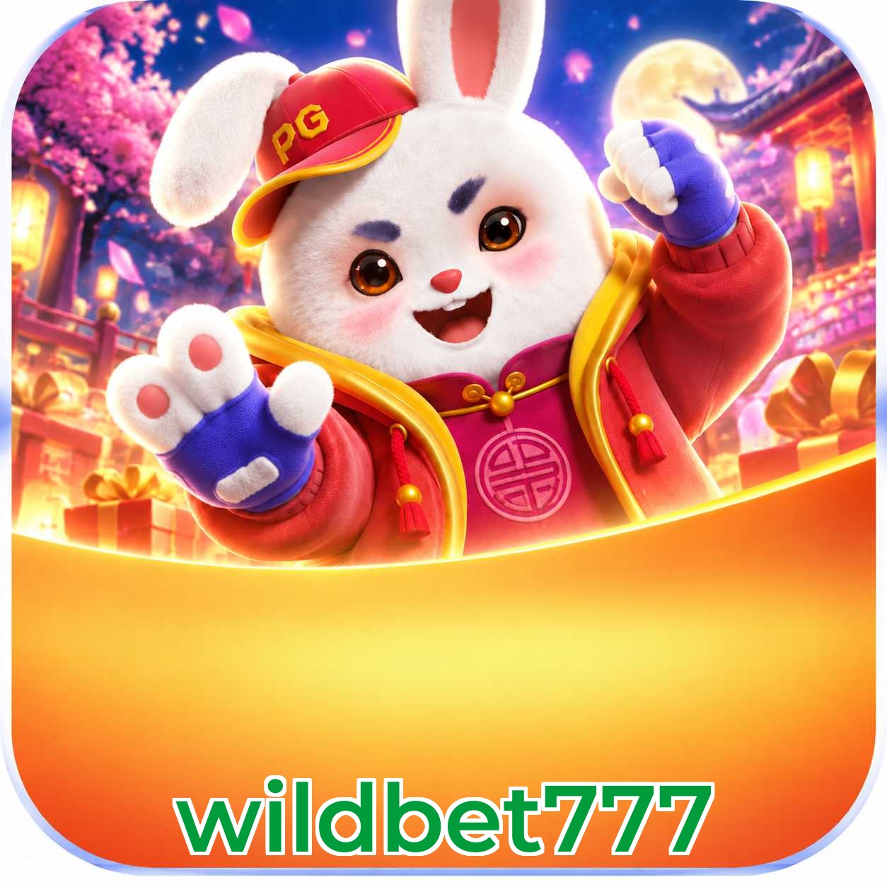 wildbet777 Live Dealers
