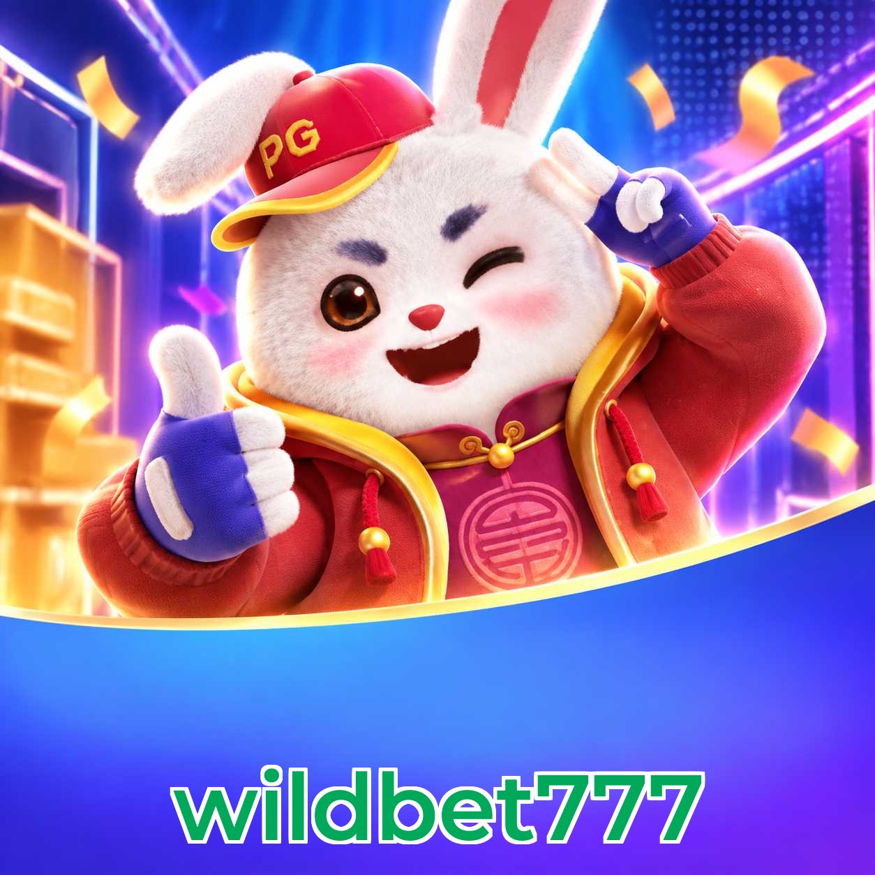 wildbet777 FAQ